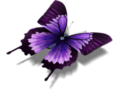 Purple Butterfly PNG Image