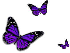 Purple Butterfly PNG Transparent Image