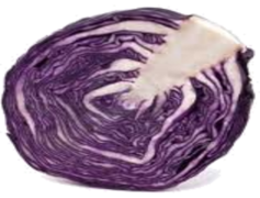 Purple Half Cabbage, Organic, Cooking, Vegetable, Food PNG