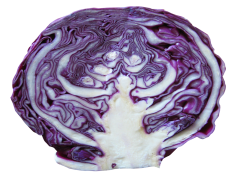 Purple Half Cabbage, Organic, Fresh, Healthy, Salad PNG