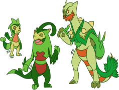 Quilladin Pokemon, Starter Pokemon, Thorn Armor, Evolution, Chespin PNG