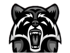 Racoon, Masked, Wildlife, Nocturnal, Clever PNG