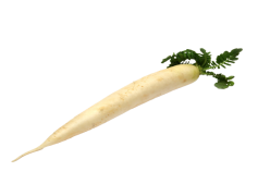 Raddish, Fresh, Nutrition, Culinary, Cooking PNG
