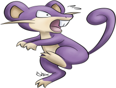 Rattata Pokemon, Hyper Fang, Quick Attack, Adaptable, Evolution PNG