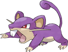 Rattata Pokemon, Purple Rodent, Pokemon Battle, Small Mammal, Hyper Fang PNG