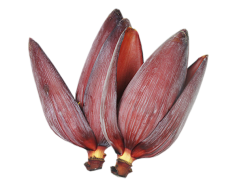 Raw Banana Flower, Tropical Vegetable, Traditional Cuisine, Floral Edible, Culinary Ingredient PNG