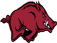 Razorbacks, Sports, College, Pride, Football PNG