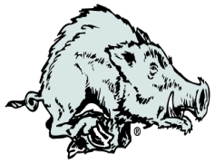 Razorbacks, Sports Team, University Tradition, Arkansas Pride, Southern Football PNG