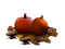 Real Pumpkin PNG Clipart