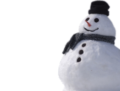 Real Snowman PNG