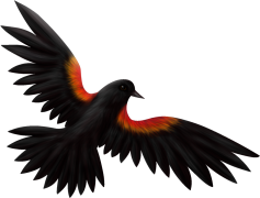 Red-winged Blackbird, Male, Nesting, Songbird, Marsh PNG