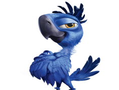 Rio, Brazil, Festival, Music, Samba PNG