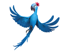 Rio, Brazil, Samba, Festival, Adventure PNG