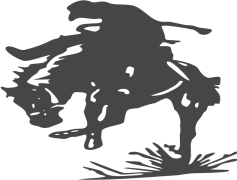 Rodeo, Arena, Bronco, Saddle, Cowboy PNG