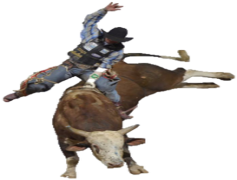 Rodeo, Western, Saddle, Barrel Racing, Competition PNG