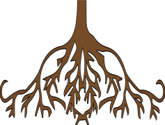 Root, Origin, Stability, Tree, Growth PNG
