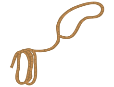 Rope Cartoon, Playful, Whimsical, Fun, Characters PNG