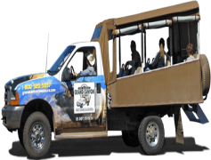 Safari Jeep, Off-Road, Safari Tour, Wildlife, Nature PNG