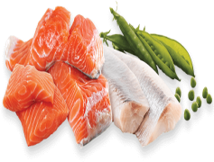 Salmon Fish, Fresh, Seafood, Culinary, Protein PNG