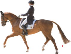 Sandra Auffarth, Equestrian, Rider, Champion, Germany PNG