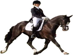 Sandra Auffarth, Eventing Champion, Horse Riding Enthusiast, Olympic Competitor, Sports Ambassador PNG