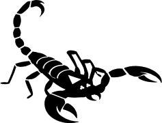 Scorpion, Desert, Stinger, Venomous, Invertebrate PNG