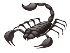 Scorpion, Predator, Desert, Stinger, Venomous PNG