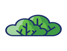 Shrub, Nature, Bush, Plant, Greenery PNG