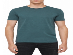 Slim Fit T-Shirt, Everyday Style, Stylish Apparel, Comfortable Fit, Wardrobe Essential PNG