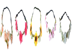 Snapchat Flower Crown, Augmented Reality, Fun Selfie Tool, Floral Filter, Colorful Blossoms PNG