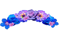 Snapchat Flower Crown, Digital Decoration, Augmented Reality, Virtual Accessories, Floral Filter PNG