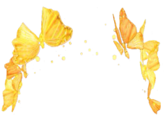 Snapchat Flower Crown, Floral Filter, Virtual Accessory, Trendy Effect, Creative Expression PNG