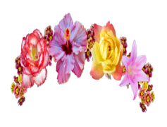 Snapchat Flower Crown, Floral Headband, Virtual Filter, Fun Accessory, Trendy Look PNG
