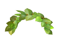 Snapchat Flower Crown, Fun Selfie Effect, Augmented Reality, Virtual Headpiece, Trendy Headgear PNG