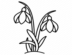 Snowdrop, Garden, Nature, Delicate, Flower PNG