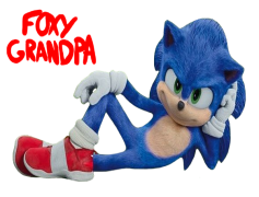 Sonic The Hedgehog Movie, Adventure, Friendship, Speed, Humor PNG