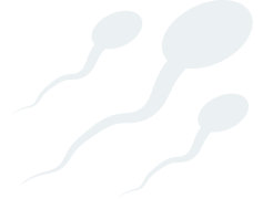 Sperm Cartoon, Fun, Characters, Unique, Biology PNG