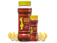 Spicykle, Creative, Elements, Colorful, Unique PNG