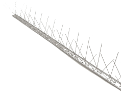 Spikes, Sharp, Thorny, Jagged, Pointed PNG