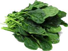 Spinach, Nutrient-Rich, Salad Ingredient, Superfood, Versatile Cooking PNG