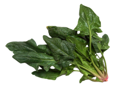 Spinach, Salad, Green, Leafy, Vegetable PNG