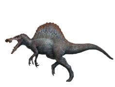 Spinosaurus, Fossil, Predator, Dinosaur, North America PNG