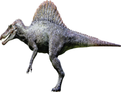 Spinosaurus, Fossil, Predator, North America, Sail PNG