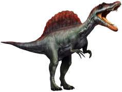 Spinosaurus, Large, North America, Dinosaur, Aquatic PNG