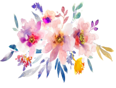 Spring Flower, Colors, Blooming, Nature, Fresh PNG