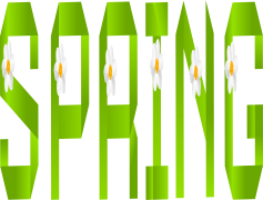 Spring Flowers, Fresh, Seasonal, Blooming, Colorful PNG