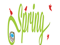 Spring Flowers, Seasonal, Vibrant, Nature, Colorful PNG