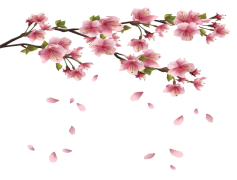 Spring, Growth, Renewal, Vibrancy, Freshness PNG