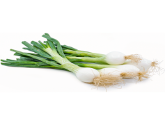 Spring Onions, Culinary Herbs, Scallions, Green Onions, Fresh Onions PNG