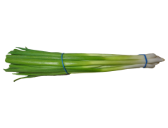 Spring Onions, Onion Greens, Green Onions, Chives, Scallions PNG